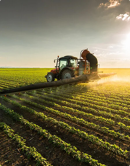 Agricultor revisando suelo