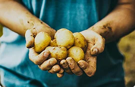 Asesoría NVA